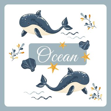 Okyanus Harfli İki Şirin Balina, Renkli Deniz Yosunu, Denizyıldızı ve Deniz Kabuğu Vektör İllüzyonu Yaz Tatilleri, Çocuk Dekoru, Tebrik Kartları, Plaj Partisi ve Denizkabuğu Markalaşması