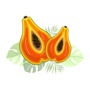 Beyaz Arkaplan Egzotik Çocuklar için Yaz Tasarımı, Mevsimsel Dekor, İş Markaları ve Tatil Projeleri Üzerine İki Papaya Meyvesi 'nin Vektör İlülasyonu