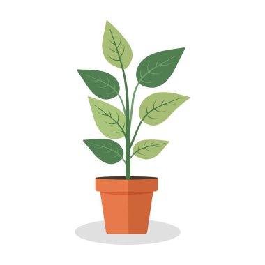 Beyaz arka planda yeşil saksı bitkisinin minimum vektör çizimi. Terracotta tenceresinde basit bir saksı. Eko temaları, iç dekorasyon, doğa ve botanik tasarım için mükemmel..