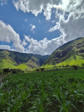 The beauty of these mountains lies not only in their natural scenery, but also in the culture and history that surround them, making them an interesting place for visitors and researchers.beautiful,  clipart