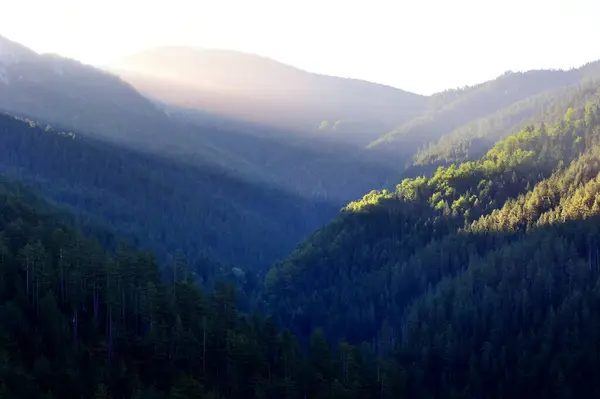Sabah güneşi dağların üzerinden doğar.