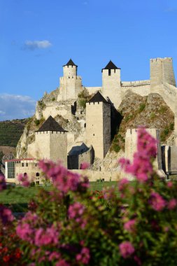 Golubac kalesi açık güneşli bir günde, çiçeklerin arasında dikey