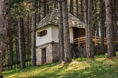 Traditional Serbian mountain stone house in the pine forest clipart