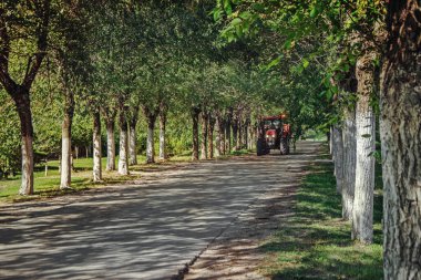 Yoğun bir ağaçlık alanda yoldan geçen bir traktör.
