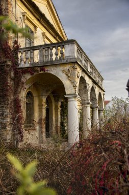 Kırmızı sarmaşıkla kaplanmış terk edilmiş eski bir konak.