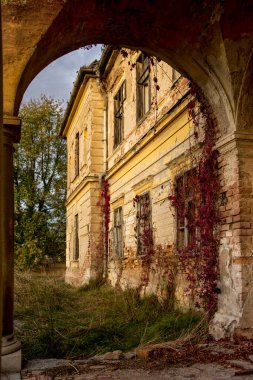Kırmızı sarmaşık eski bir villanın kemerli girişinde sürünüyor.