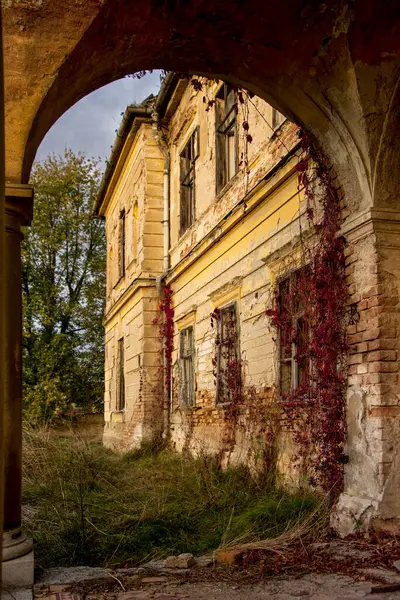 Kırmızı sarmaşık eski bir villanın kemerli girişinde sürünüyor.
