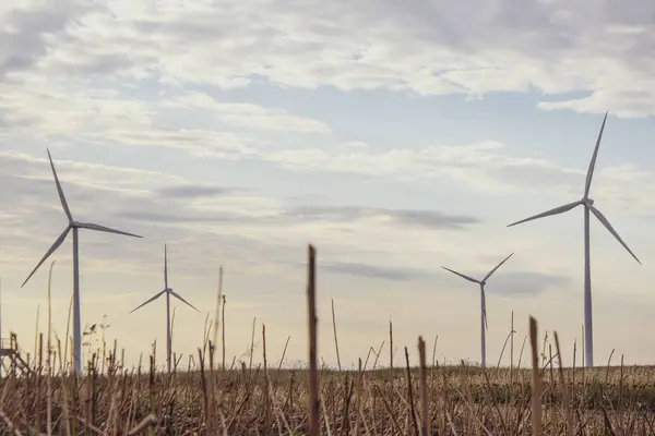 Wind farm through freshly harvested wheat crops