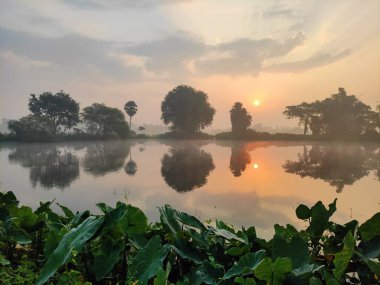Gölün yanında sakin bir gün doğumu sisli suda ve sıcak ilk ışıklarda ağaç yansımaları. Doğa ve huzur temaları için ideal.