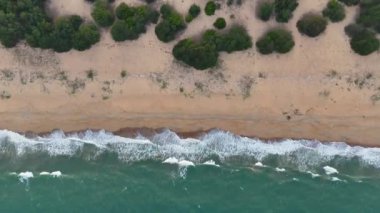 Sahil şeridinin sakin bir hava perspektifi, yumuşak mavi dalgalar dağınık çalılarla süslenmiş kumlu bir sahile vuruyor..