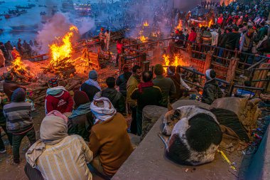 Varanasi, Uttar Pradesh, Hindistan, 26 Ocak 2024: Manikarnika Ghat 'ta acele ederken, yakma işçileri yorulmadan hareket ediyor, yaşam döngüsü kesintisiz devam ederken kutsal alevlere bakıyorlar..