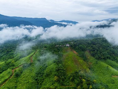Muson sihri Khaddum Hillsan 'ın hava manzarasında yemyeşil yamaçlar yüzen bulutlar arasında kayboluyor, sakin ve manzaralı bir manzara..