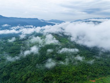 Muson mevsiminde Khaddum Hills 'in çarpıcı insansız hava aracı görüntüsü, canlı yeşilliklerin yoğun beyaz bulutlarla buluştuğu yerde, rüya gibi bir atmosfer yaratıyor..