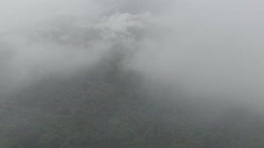 Sisin içinden yükselen insansız hava araçları bulutların üzerinde yükselen yeşil tepeleri sergiliyor..