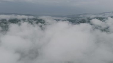 Yoğun bulutlarda süzülen bir dron, sislerle kaplı yeşil orman tepelerinden oluşan nefes kesici bir denizin üzerinde beliriyor..