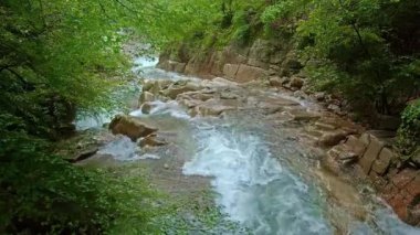 Çalkantılı dağ deresi yemyeşil bir ormandaki kayaların üzerinde çağlıyor..