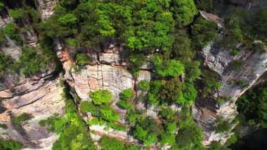 Sarp Yeşil Orman 'ın Havadan Görünümü, Katmanlı Kum Taşı Uçurumları
