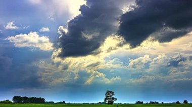 Yalnız Ağaç, dramatik, güneşli, Cumulus Bulutlu Gökyüzü Yeşil Tarlada