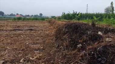 Gübre Yığını ve Çamurlu Kırsal Tarım Alanı