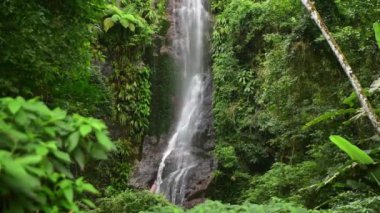 Bereketli Tropikal Şelale Şelalesi Titrek Yeşillikler Arasında Kayalık Yüze