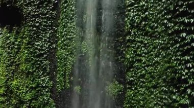 Çerçevesi yemyeşil Bir Puslu Şelale Kara Kaya Surat 'ta Şelale Şelalesi