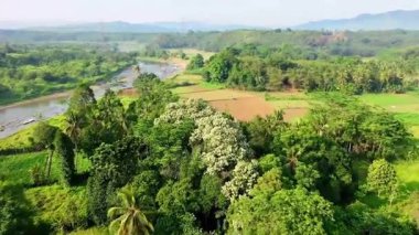 Nehir ve tarım arazileri ile yemyeşil tropikal manzaranın hava görüntüsü