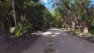 Güneşli toprak yol, verimli tropikal bir tropikal çam ve palmiye manzarasında dönüyordu..