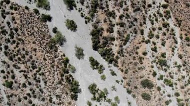 Kuru bir nehir yatağının havadan görünüşü Nadir Çöl Sebzeleri arasında geziniyor