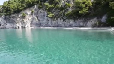 Kristal berraklığında turkuaz suyu, beyaz gri kayalıkları ve yıpranmış bir ağacı olan tenha bir koy..
