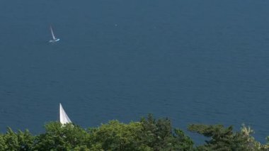 Bir yelkenlinin yüksek açılı görüntüsü ve sakin bir göl üzerindeki bir martı, sakin bir manzara..