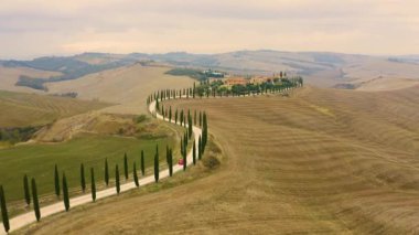 İtalya 'nın Toskana kırsalında selvi ağaçlarıyla kaplı dolambaçlı bir yolun manzarası..