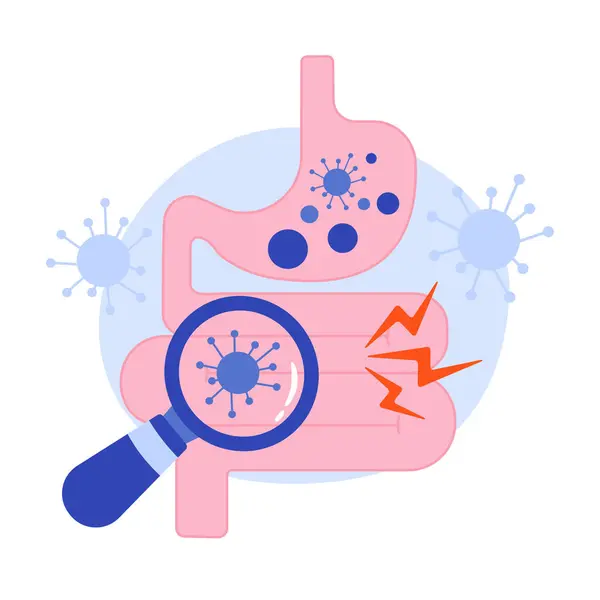 İnsan midesi ve bağırsakları büyüteç altında virüsleri ve bakterileri ortaya çıkarıyor..
