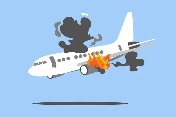 Crash, Courage, and Survival: How Five Survived an Alligator-Infested Jungle Crash