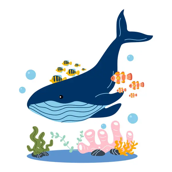 1.Balina Derin Deniz 'de Yüzüyor