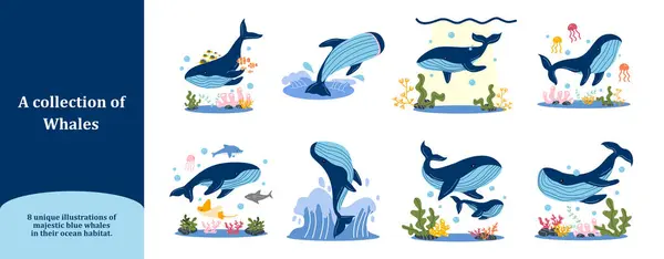 Mavi balina koleksiyonu.