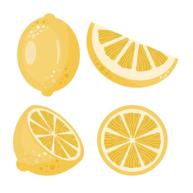 Dört tane sarı limon çizimi, tam, yarım ve iki dilim de dahil. Citrus meyve vektör koleksiyonu.