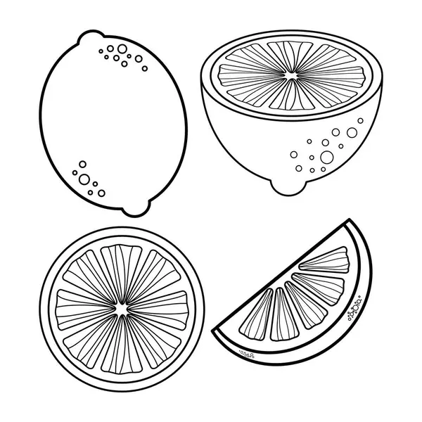 Dört adet siyah-beyaz limon ana hatları, tam, yarım ve iki dilim. Citrus meyve koleksiyonu.