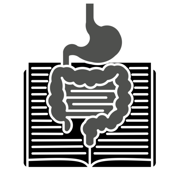 Açık Kitap Tıbbi ve Eğitimsel İllüstrasyon Üzerine Mide ve Bağırsakla Sindirim Sistemi Kavramı