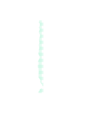 Açık Mavi Gingham Washi Teyp Tasarımı