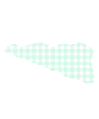 Açık Mavi Gingham Washi Teyp Tasarımı