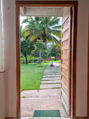 Palmiye ağaçlarıyla bahçeye açılan ahşap kapı. 