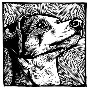 İşleme tarzında uzun burunlu bir köpeğin siyah ve beyaz vektör çizimi, etkileyici detaylar ve güçlü kontrast, hayvan severler ve sanatsal projeler için mükemmel.