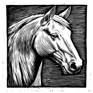 intricate black and white vector illustration of a horses head in profile, drawn in an engraving style with fine cross-hatching and strong contrasts   clipart