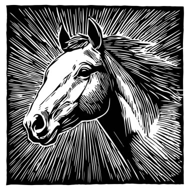 black and white vector engraving of a horses head, captured in a detailed vintage style with bold contrasts and fine hatching   clipart