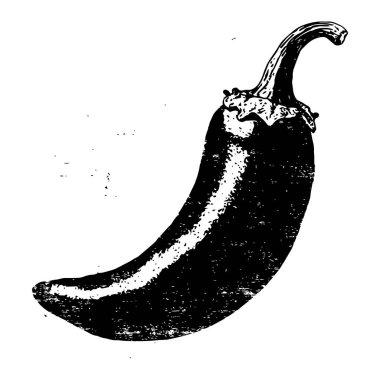 Çili biberi oymalı siyah-beyaz vektör kıvrımlı ve ince desenli, baharatlı karakterini vurgulayan klasik yemek çizimi