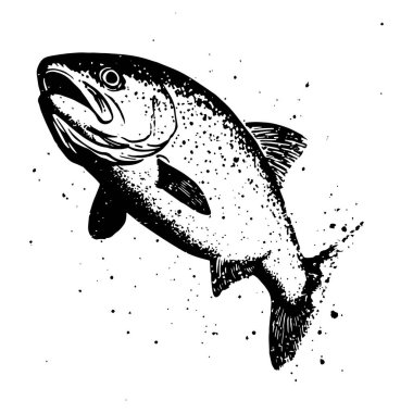 Sudan atlayan bir balığın siyah-beyaz çizimi, detaylı mürekkep stili çizimi, klasik deniz teması.