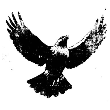 Uçan bir kartalın siyah-beyaz çizimi, kanatları geniş, mürekkep stili vahşi yaşam tasarımı..