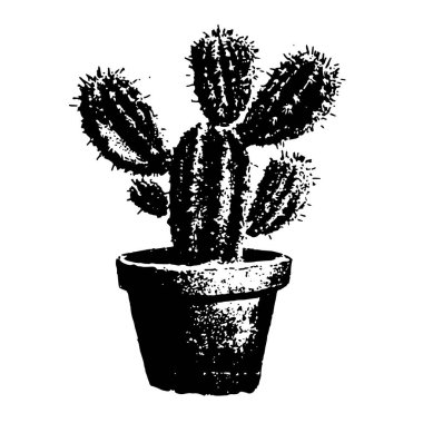 Ayrıntılı doku ve dikenli bir kaktüsün siyah ve beyaz vektör çizimi