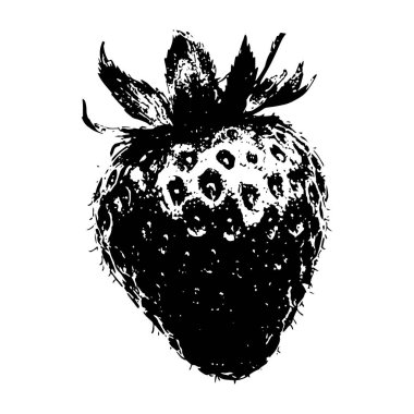 Siyah-beyaz oyma biçiminde çilek vektörü