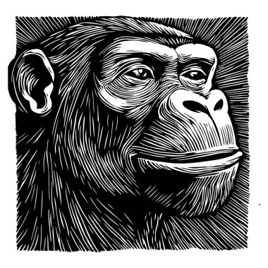 Siyah ve beyaz oyma biçiminde şempanze baş vektörü